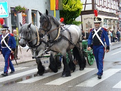 2012-07 Landestreffen Bütgerwehren (59)